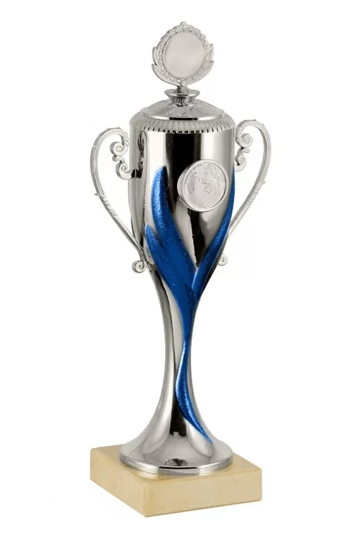 Реальное фото Кубок PR 081-270 Silver/Blue h-27 см от магазина СпортСЕ