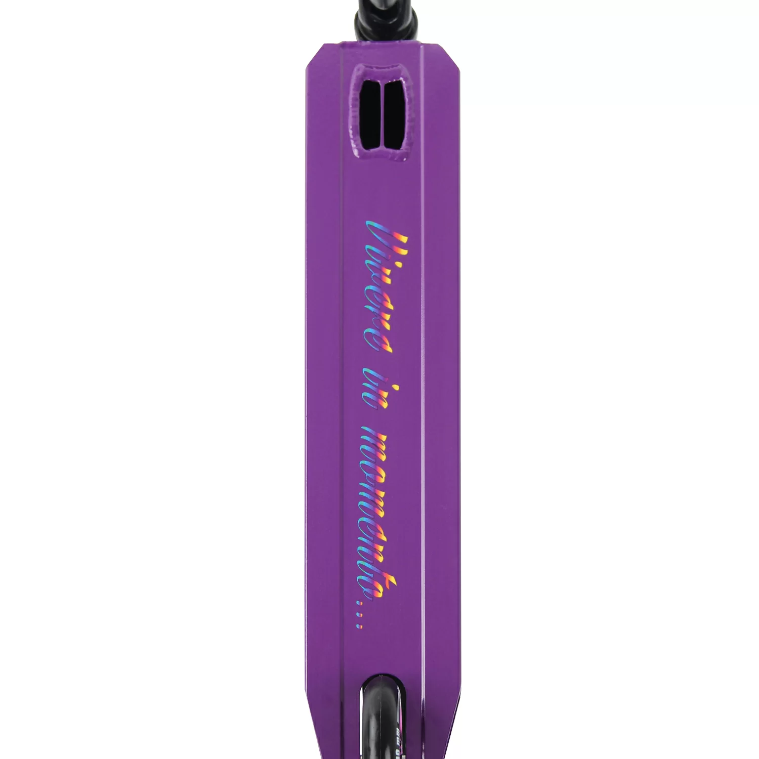 Реальное фото Самокат RGX Infinity HIC 100мм violet от магазина СпортСЕ