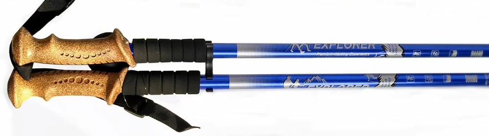 Реальное фото Палки для скандинавской ходьбы  2-х секционные с чехлом син R18143-Pro от магазина СпортСЕ