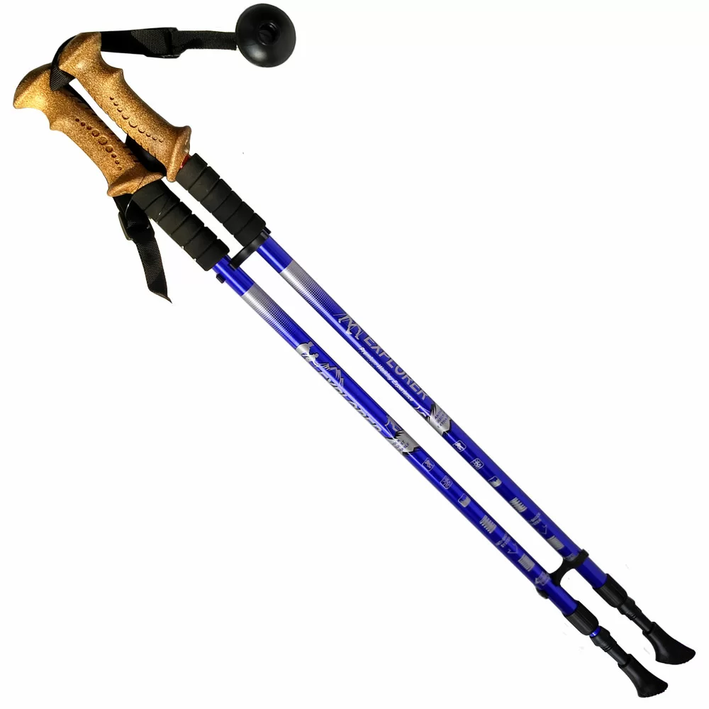 Реальное фото Палки для скандинавской ходьбы  2-х секционные с чехлом син R18143-Pro от магазина СпортСЕ