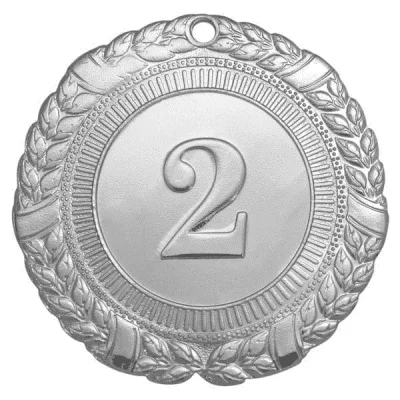 Реальное фото Медаль MZ 28-45 d-45 мм s-2 мм от магазина СпортСЕ