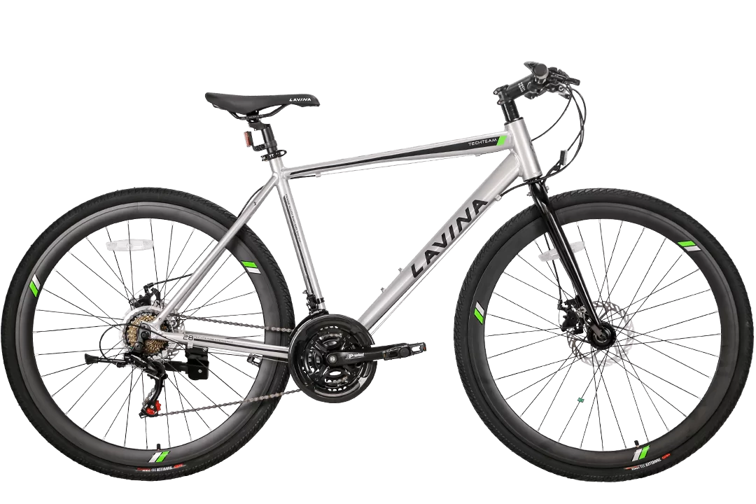 Реальное фото Велосипед TechTeam Lavina 28" серый от магазина СпортСЕ