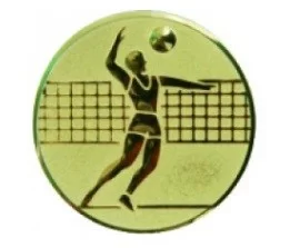 Реальное фото Вставка для медалей AM1-19-G 25 мм пластик волейбол от магазина СпортСЕ